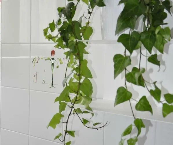 La Casa Dei Nonni 3*